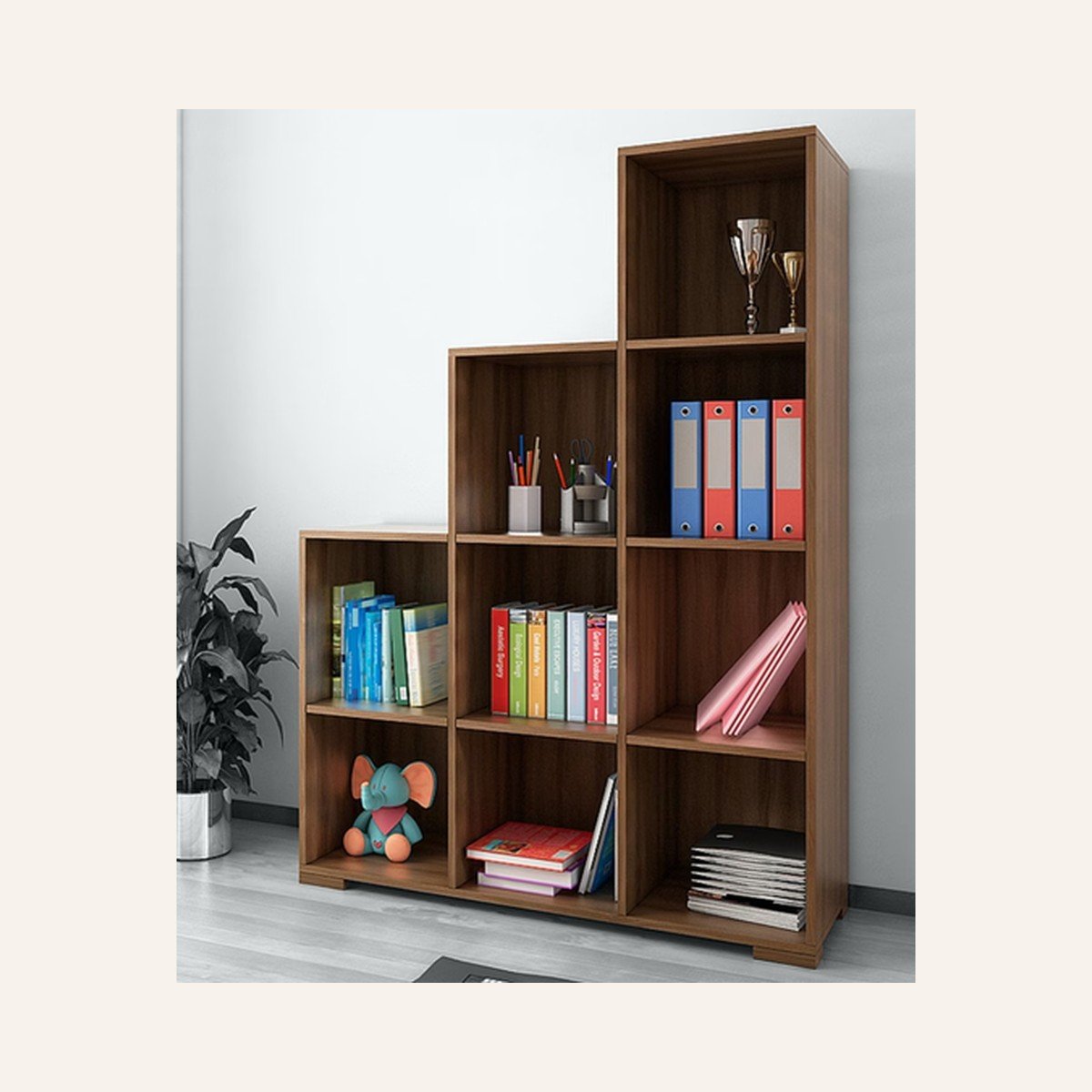 Stepcase Bookcase